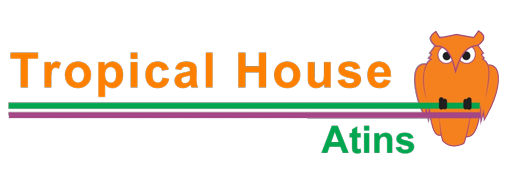 Tropical House Atins